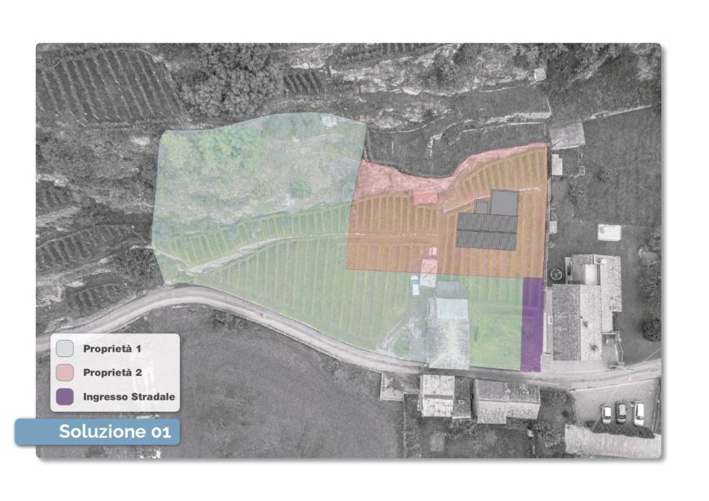 immagine annuncio 12 di 14