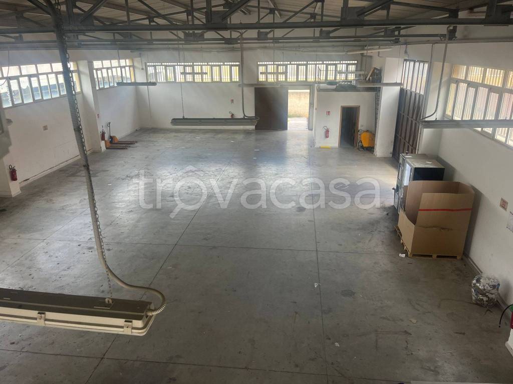 immagine annuncio 2 di 8