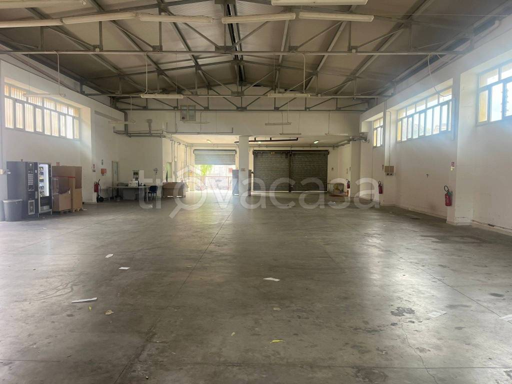 immagine annuncio 6 di 8