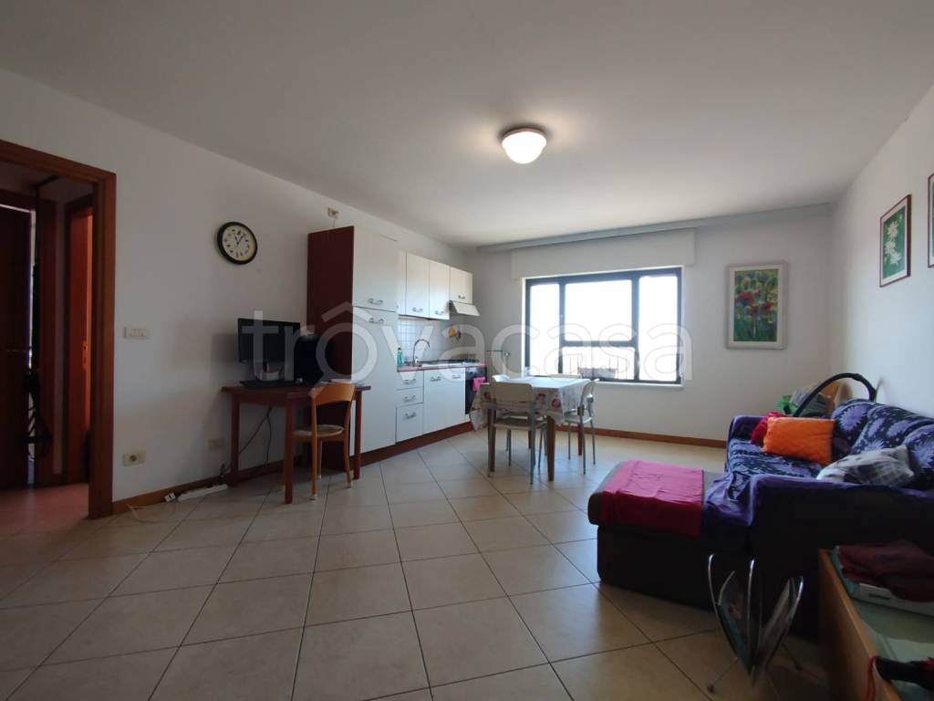 immagine annuncio 3 di 9