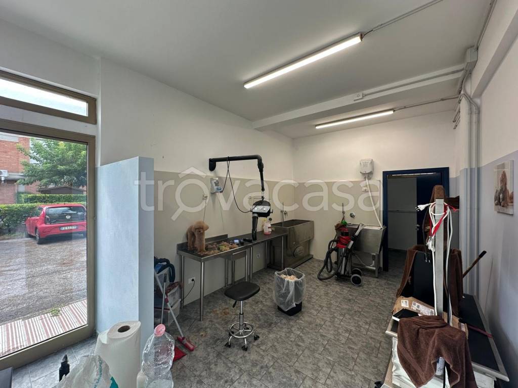 immagine annuncio 6 di 9