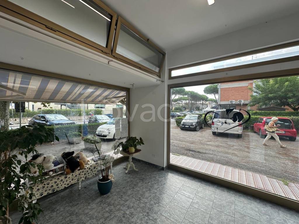 immagine annuncio 2 di 9