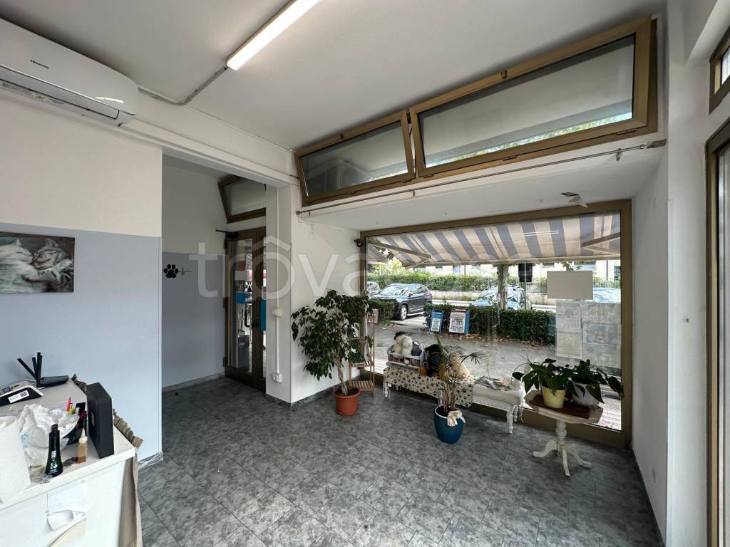 immagine annuncio 3 di 9