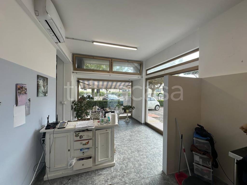 immagine annuncio 4 di 9