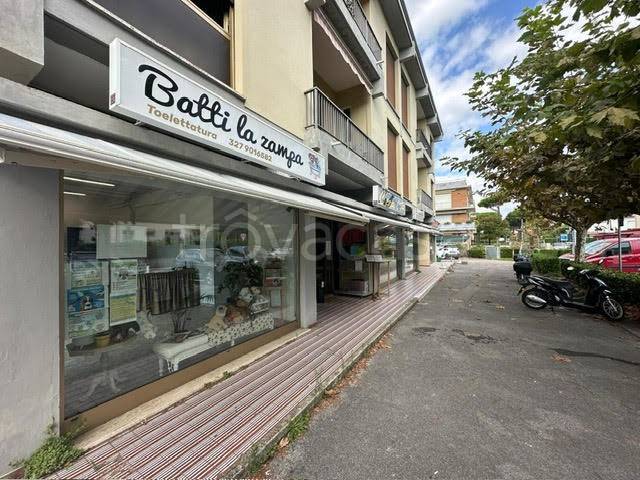 immagine annuncio 1 di 9