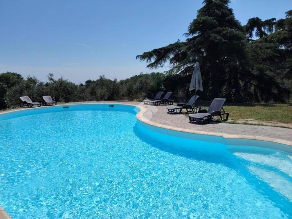 immagine annuncio 7 di 15