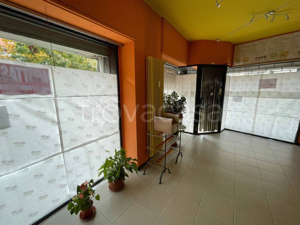 immagine annuncio 2 di 14