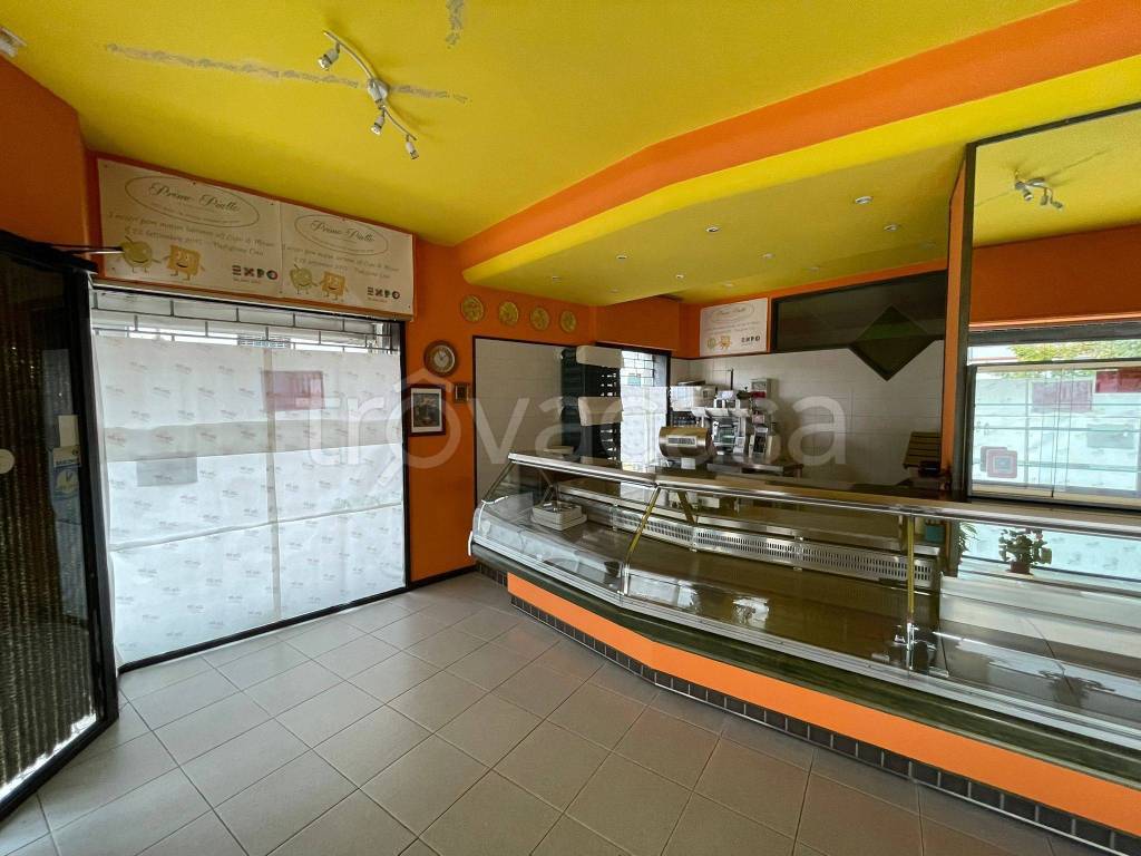 immagine annuncio 3 di 14