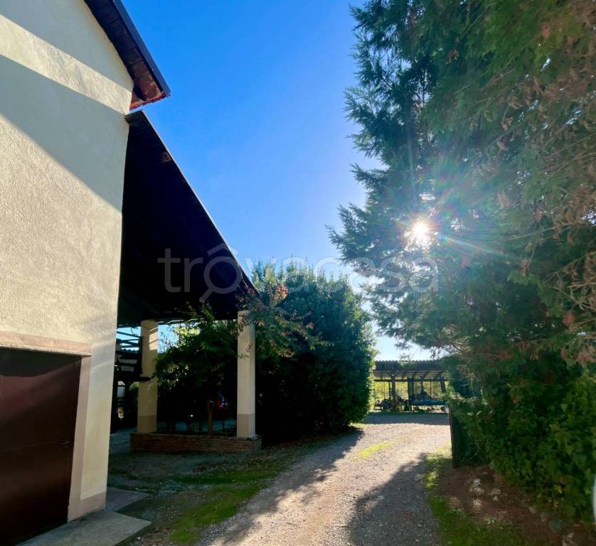 immagine annuncio 7 di 11