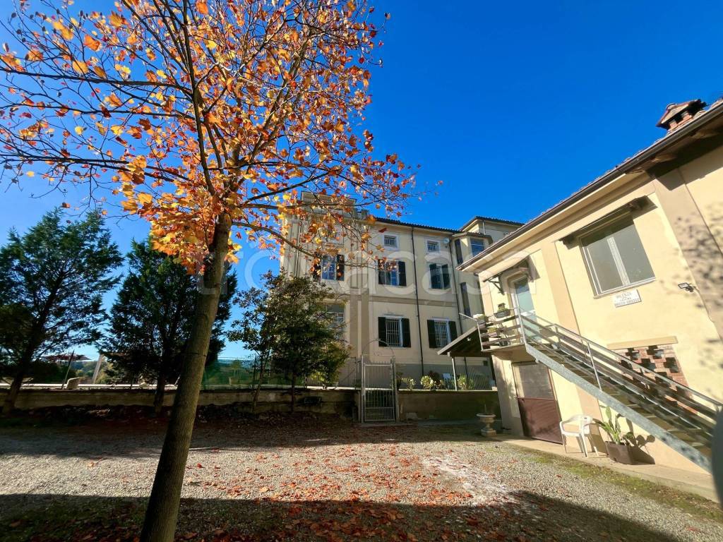 immagine annuncio 9 di 11