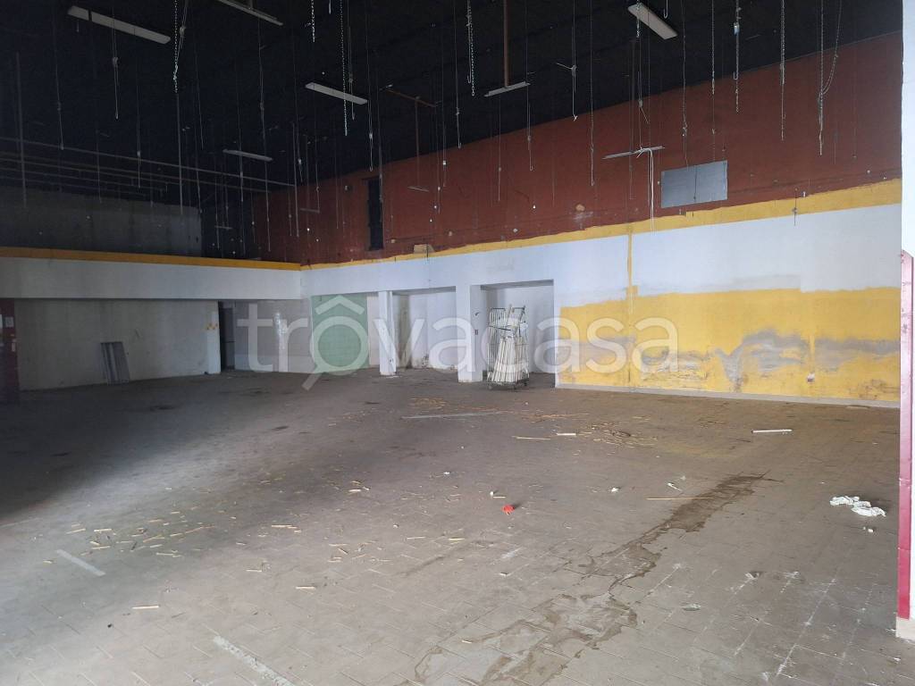 immagine annuncio 2 di 8