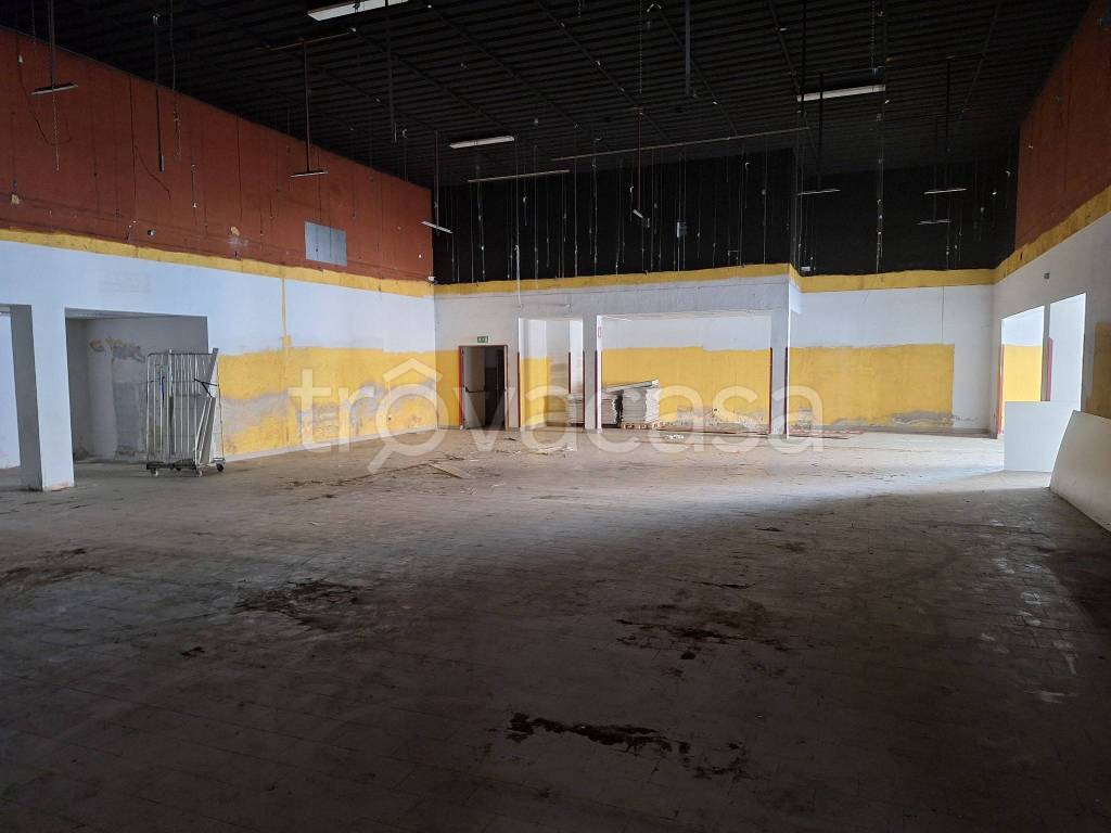 immagine annuncio 3 di 8