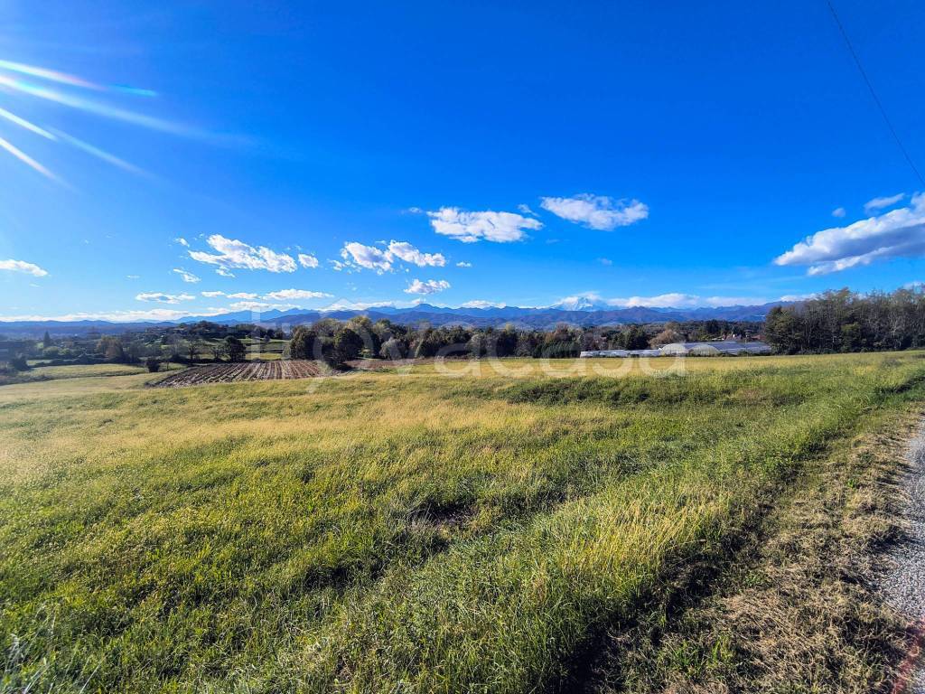 immagine annuncio 12 di 14