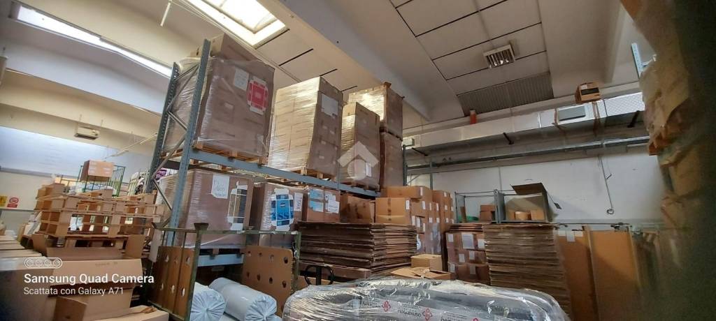 immagine annuncio 9 di 15