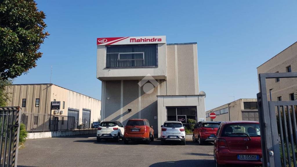 immagine annuncio 12 di 15