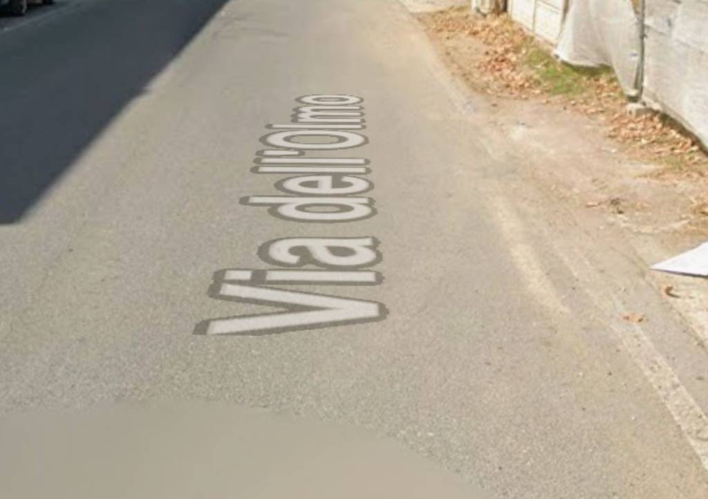 immagine annuncio 6 di 11