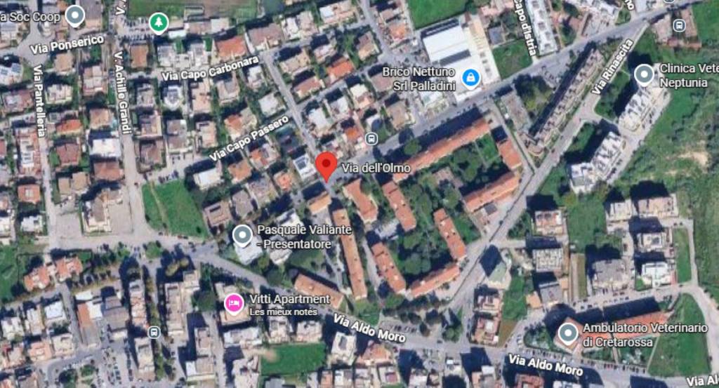 immagine annuncio 9 di 11