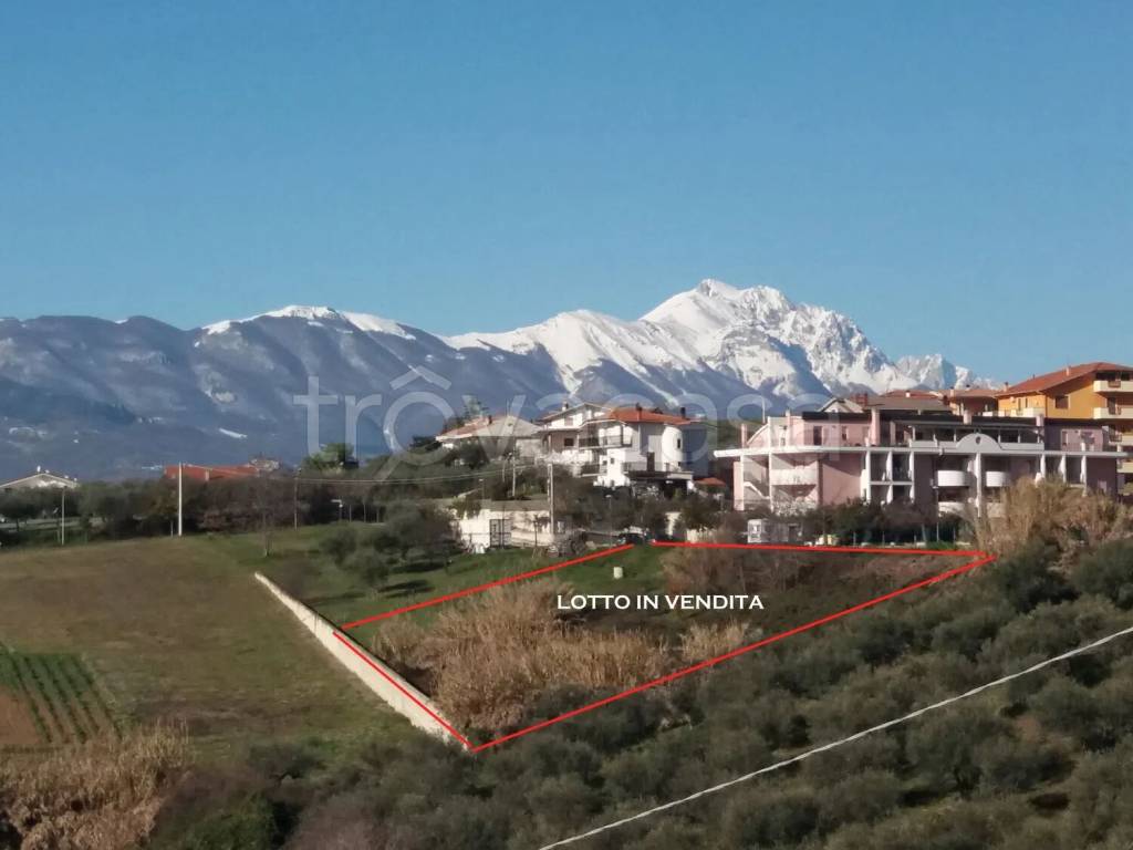 immagine annuncio 1 di 11