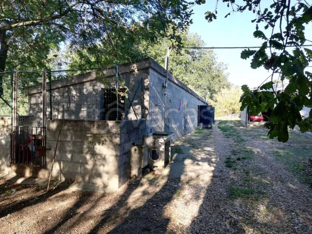 immagine annuncio 5 di 11