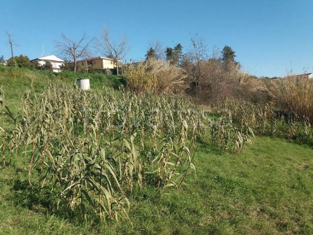 immagine annuncio 5 di 11