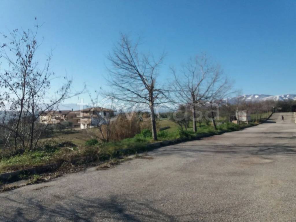 immagine annuncio 6 di 11