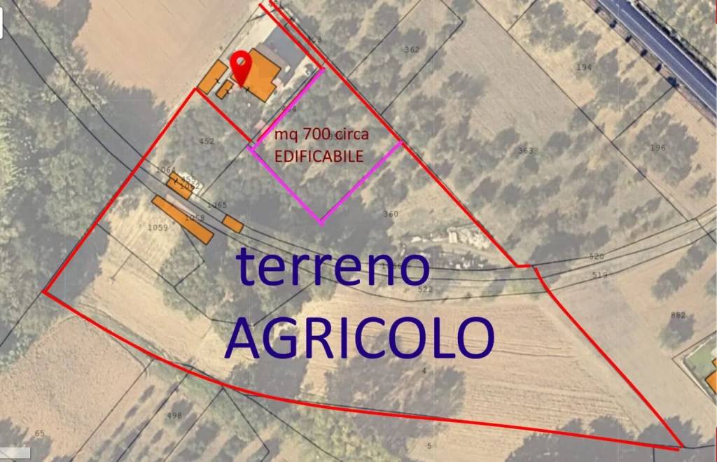 immagine annuncio 10 di 11