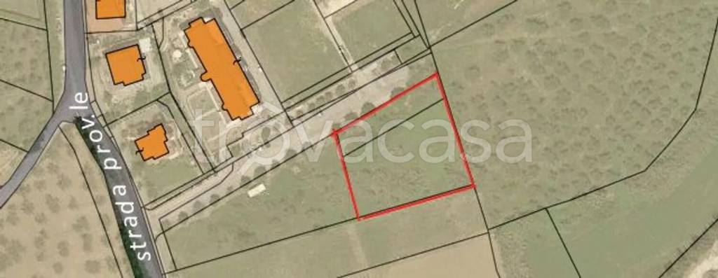 immagine annuncio 9 di 11