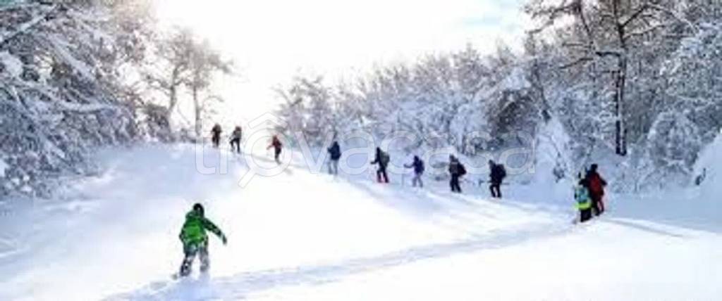 immagine annuncio 6 di 9