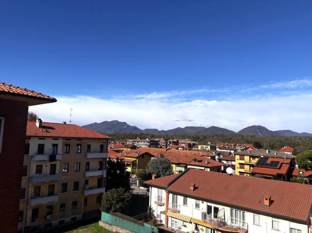 immagine annuncio 1 di 12