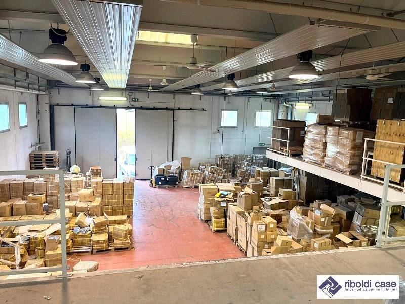 immagine annuncio 4 di 15