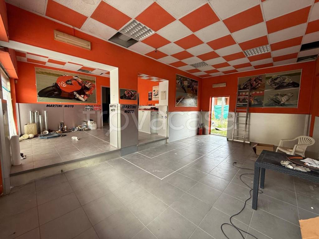 immagine annuncio 2 di 9