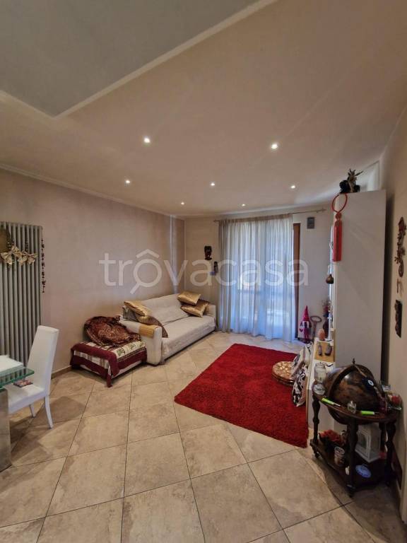 immagine annuncio 3 di 14