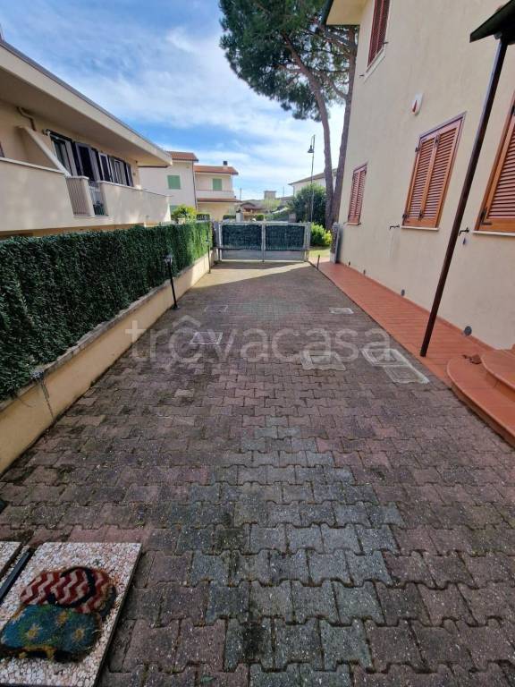 immagine annuncio 13 di 14