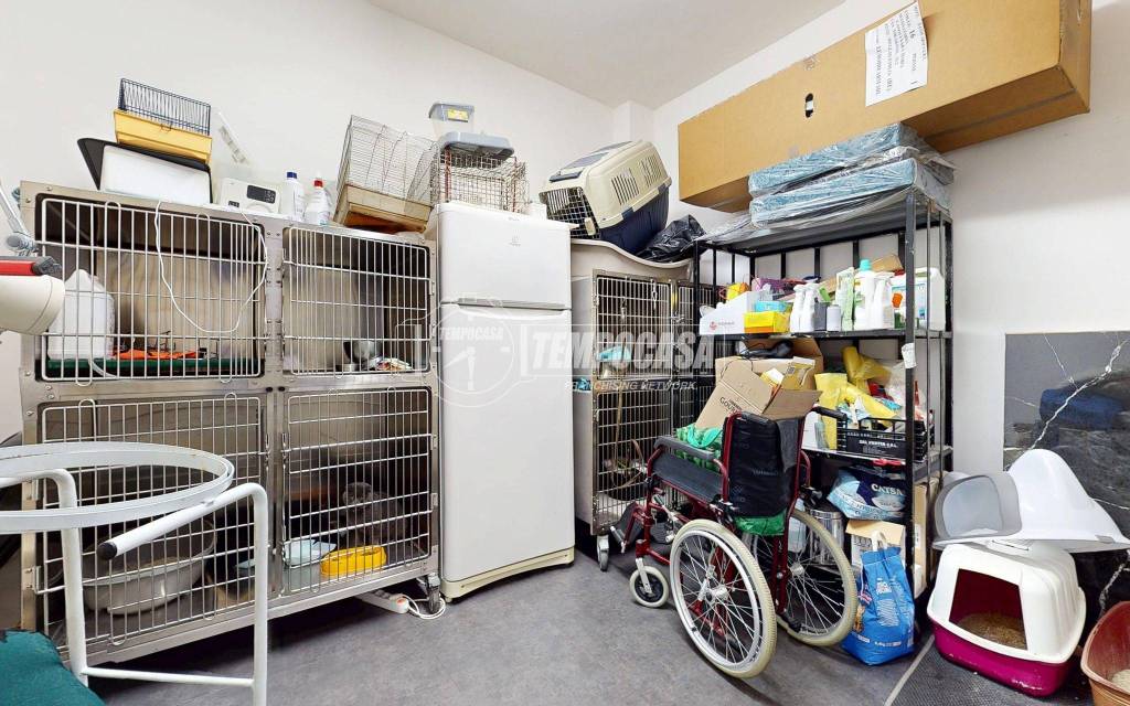 immagine annuncio 10 di 15