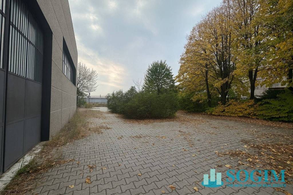 immagine annuncio 4 di 14