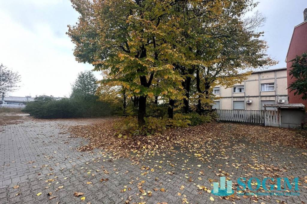 immagine annuncio 5 di 14