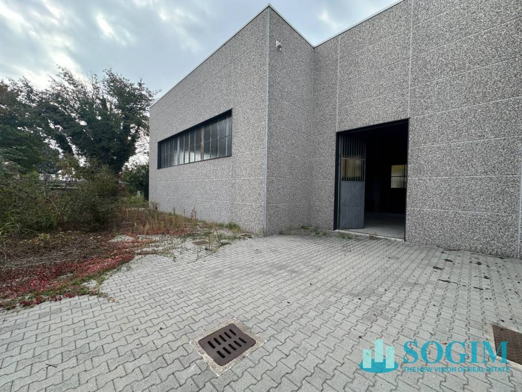 immagine annuncio 6 di 14