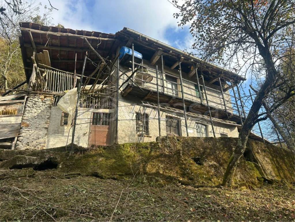 immagine annuncio 2 di 4