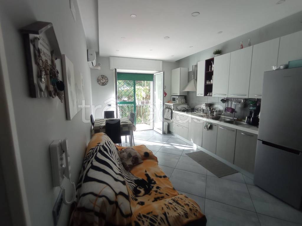 immagine annuncio 3 di 14