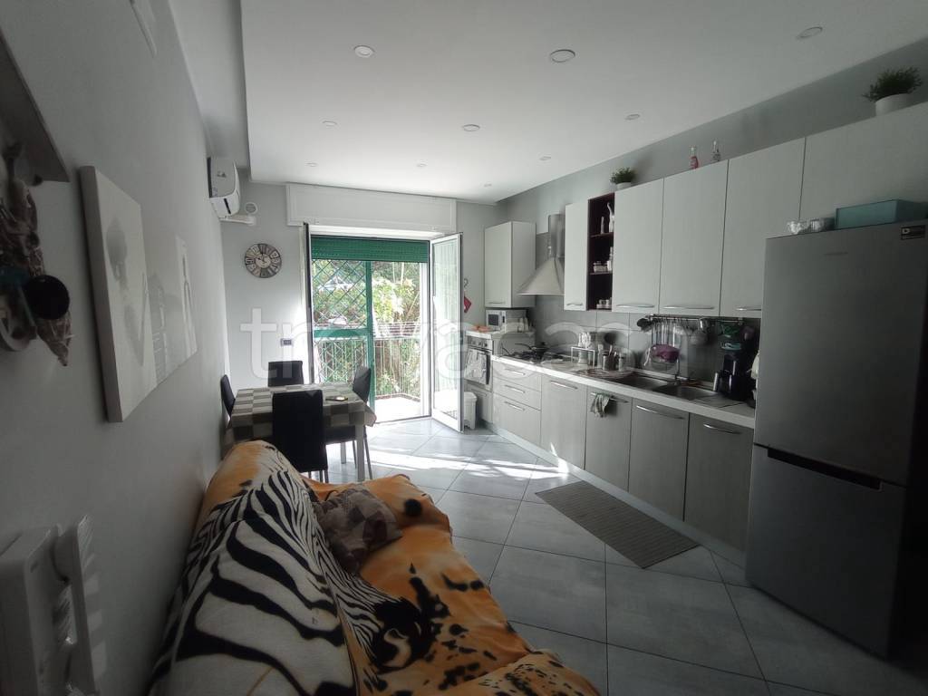 immagine annuncio 4 di 14