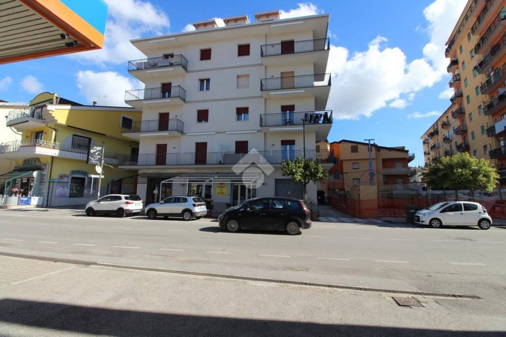 immagine annuncio 2 di 13