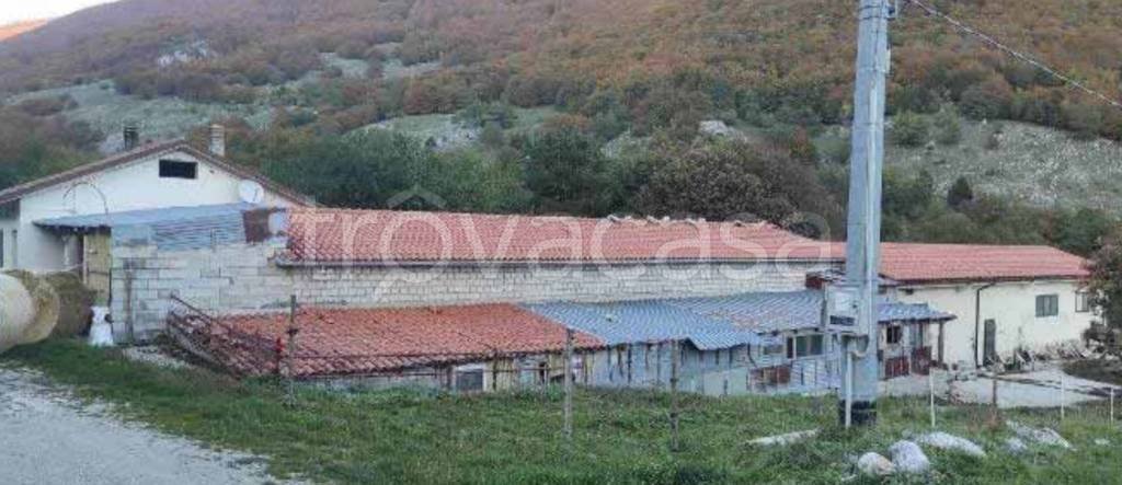 immagine annuncio 7 di 12