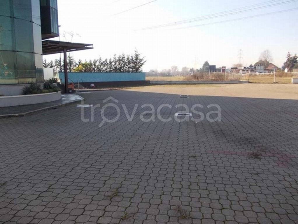 immagine annuncio 12 di 15