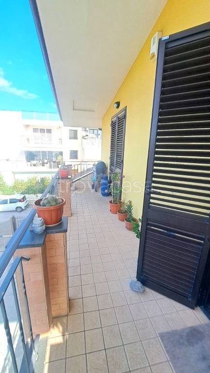 immagine annuncio 7 di 11