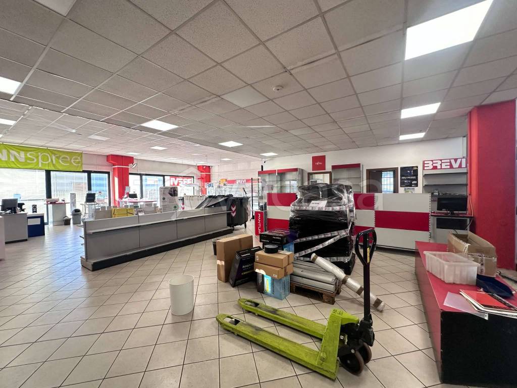 immagine annuncio 6 di 12