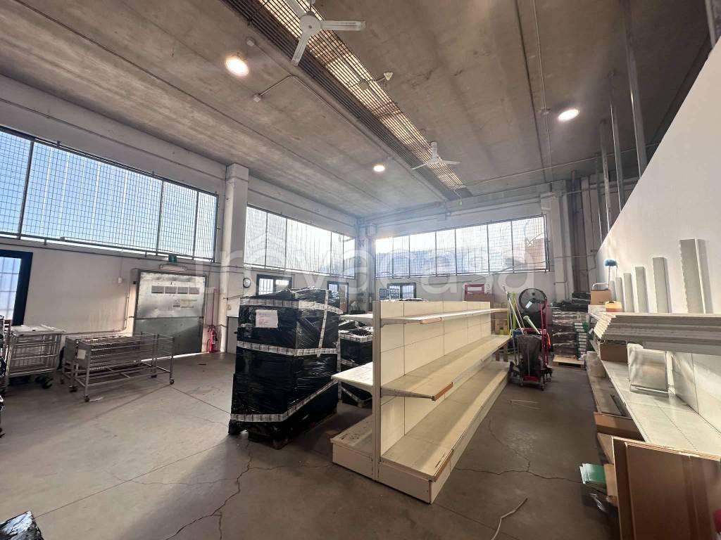 immagine annuncio 9 di 12