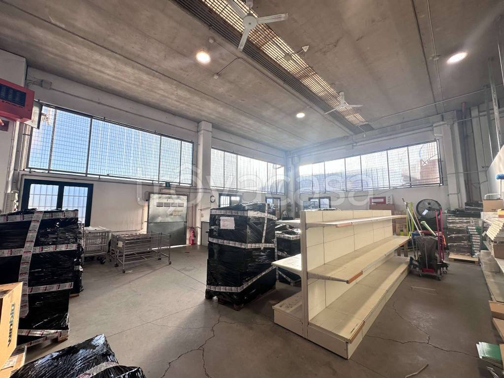 immagine annuncio 11 di 12