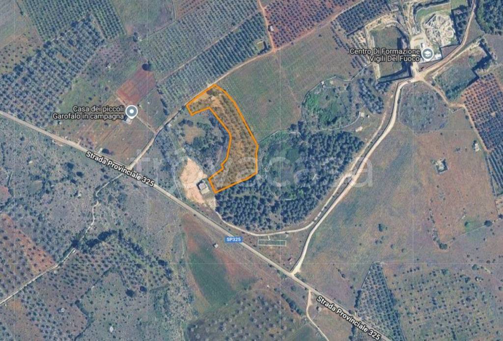 immagine annuncio 3 di 7