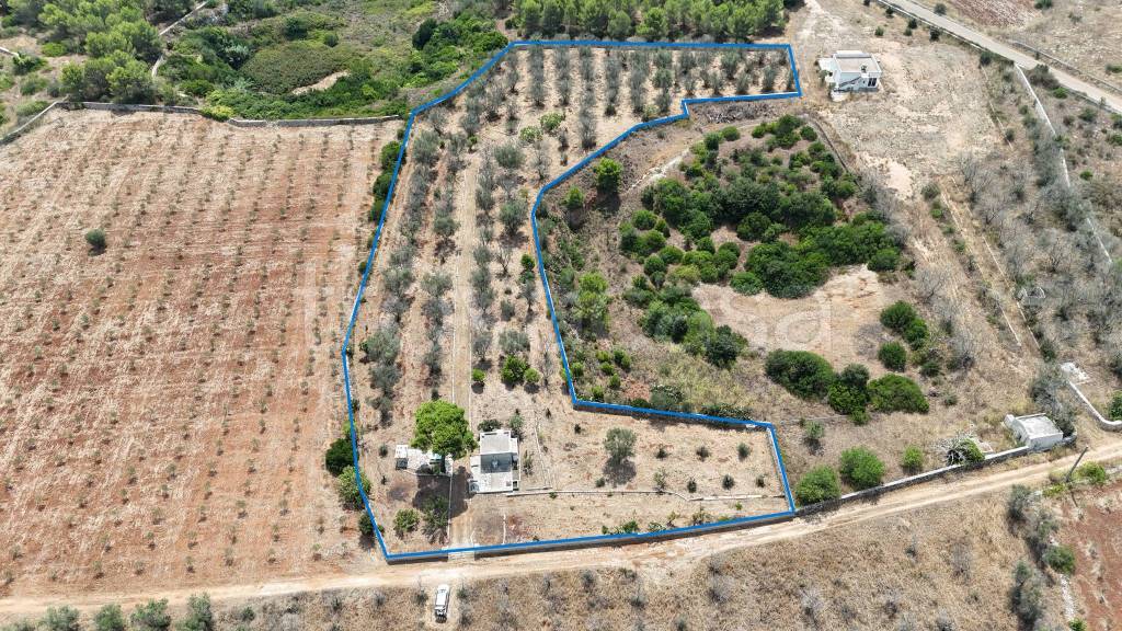 immagine annuncio 4 di 7