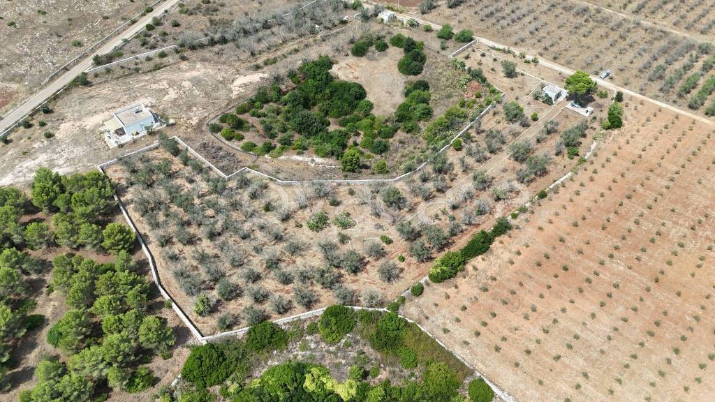 immagine annuncio 5 di 7